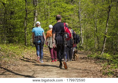 Group of people walking by hiking trail