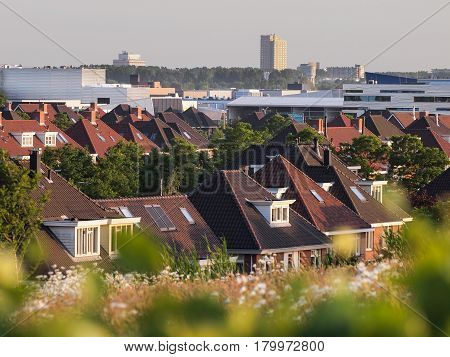 View Over Roofs Of Modern Suburb, The Hague, Netherlands