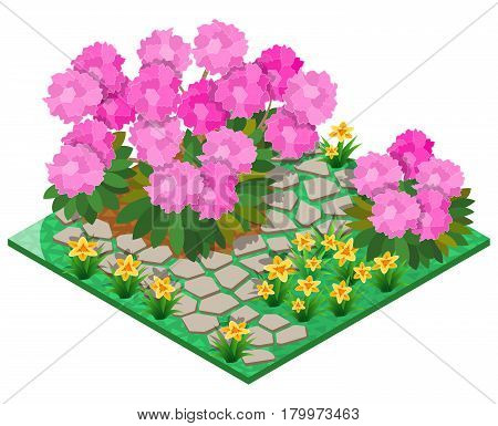 Ornamental garden with rhododendron, lily and stone pavement. 3D isometric view. Vector illustration.