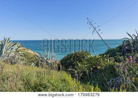 The Coast Of Vinaroz In Castellon, Spain