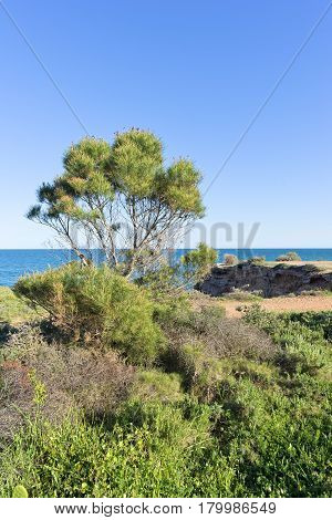 The Coast Of Vinaroz In Castellon, Spain