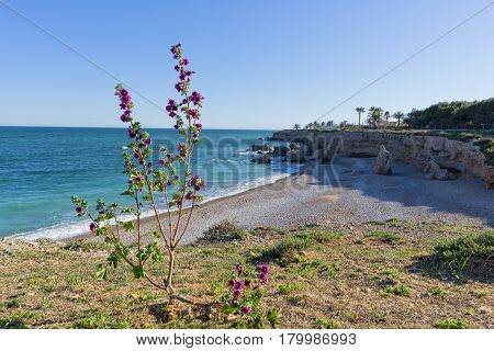 The Coast Of Vinaroz In Castellon, Spain