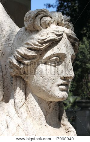 Testa di una statua della Sfinge