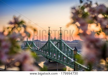 Budapest Hungary - Beautiful Liberty Bridge at sunrise with cherry blossom around. Spring has arrived in Budapest.
