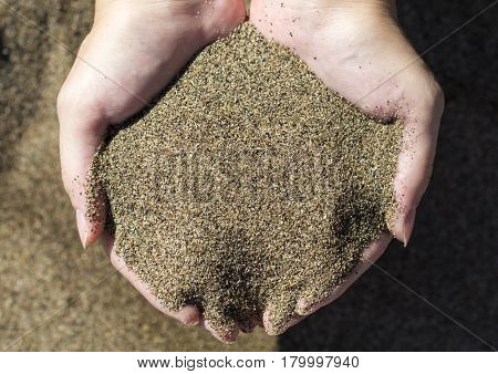 two-hands-hold-image-photo-free-trial-bigstock