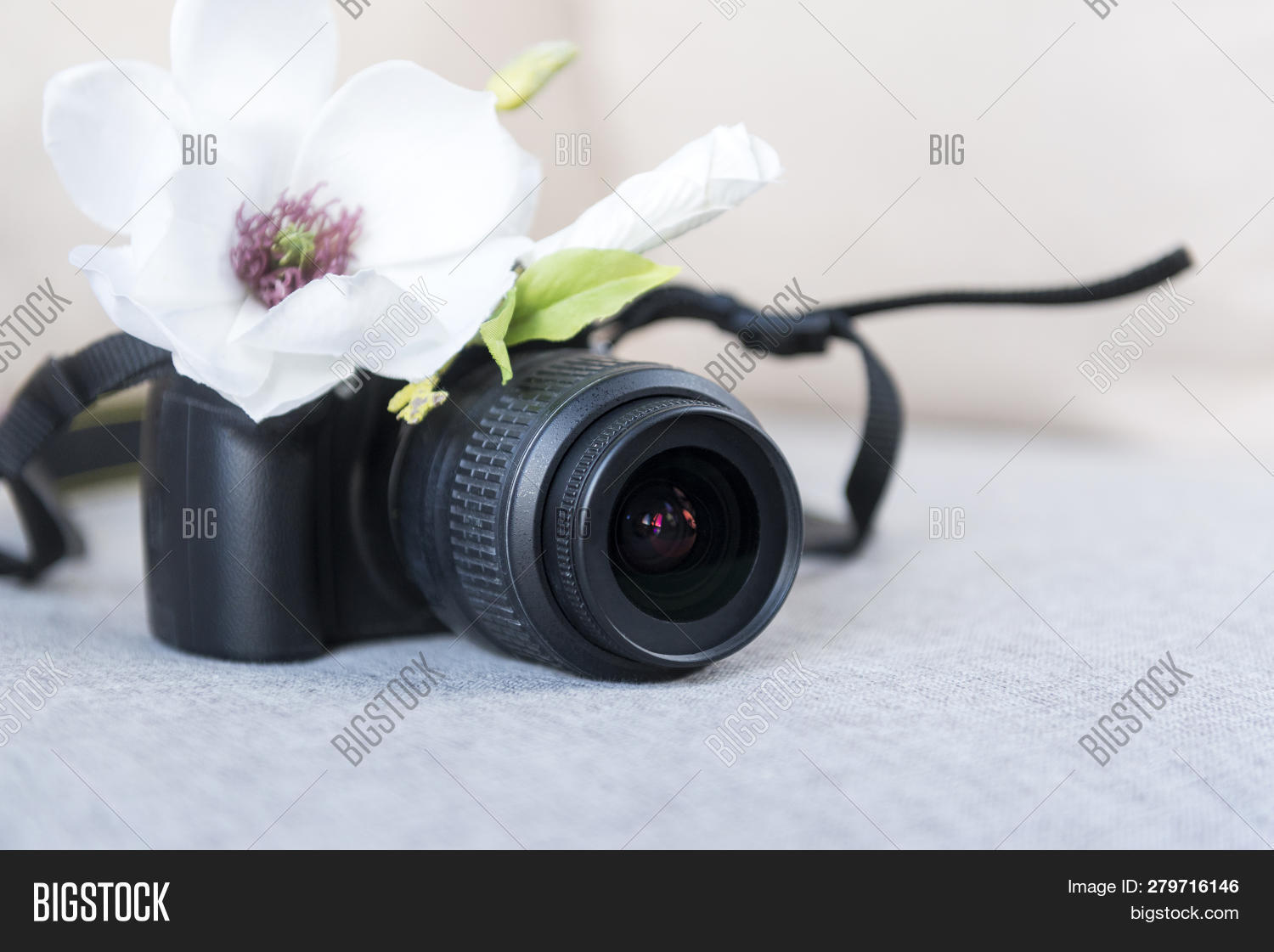 Camera, Flowers Image & Photo (Free Trial) Bigstock
