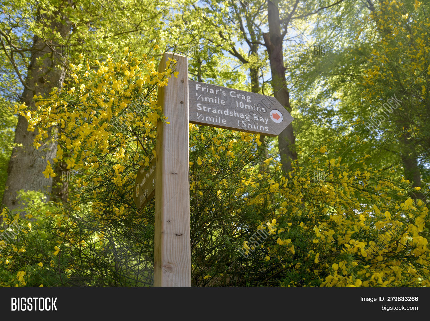 Signpost On Footpath Image & Photo (Free Trial) | Bigstock