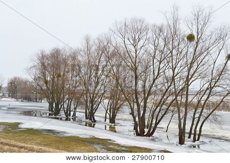 Vista del fiume Kopanets