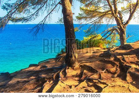 View On Mediterranean Sea Through Forest Trees In Spain Coast In Lloret De Mar
