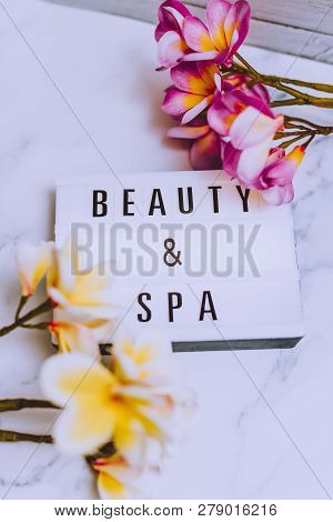 Beauty And Spe Lightbox With Frangipani