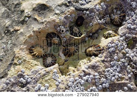 The Beach Is Just Off The Causeway Coastal Route And Has A Stunning Natural Coastal Location With Th