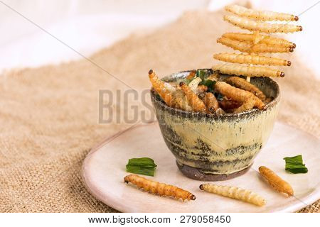 Food Insects: Bamboo Worm (bamboo Caterpillar) Insect Fried Crispy For Eating As Food Items In Bowl 