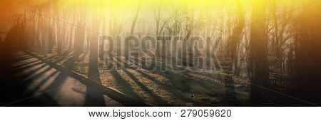 Silhouettes Of Dervies In The Old City Park In The Early Morning. Spring Season. Cityscape. Banner F
