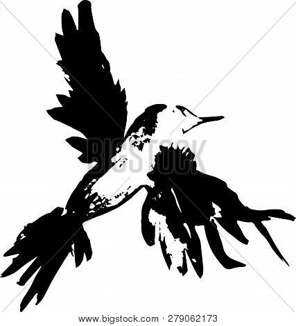 Pattern Of A Flying Bird. Magpie Or Crow, Made In Ink.