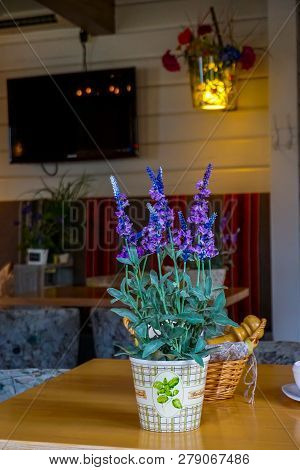 Flower Decoration In Cafe, Latvia. Flowers In A Vase. Cafe Interior With Flowers. Flower Vase Decor 