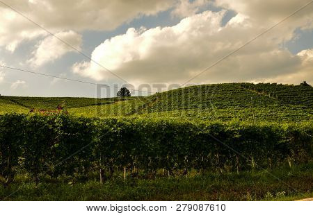 Barolo, Piedmont, Italy. July 2018. From The Castle You Have Magnificent Views Of The Surrounding Co