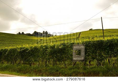 Barolo, Piedmont, Italy. July 2018. From The Castle You Have Magnificent Views Of The Surrounding Co