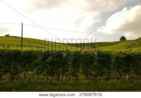 Barolo, Piedmont, Italy. July 2018. From The Castle You Have Magnificent Views Of The Surrounding Co