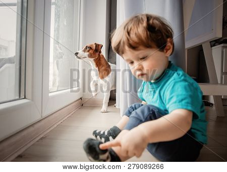 Little Toddler Boy Play At Home With His Jack Russell Terrier Dog.