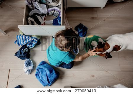 Little Toddler Boy Play At Home With His Jack Russell Terrier Dog.