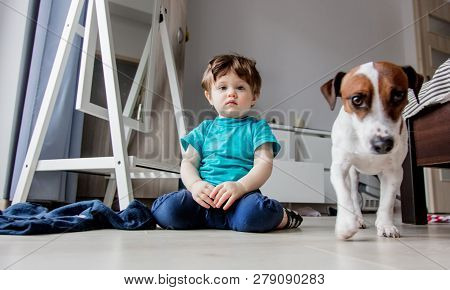 Little Toddler Boy Play At Home With His Jack Russell Terrier Dog.