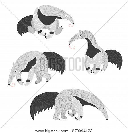 Set Of Cute Ant Eaters. Vector Illustration.