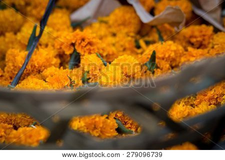 Basket Of Orange Flowers At Traditional Market