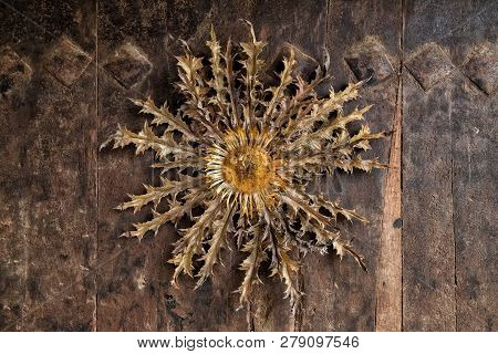 Eguzkilore, Traditional Decoration, Protection For Bad Spirits