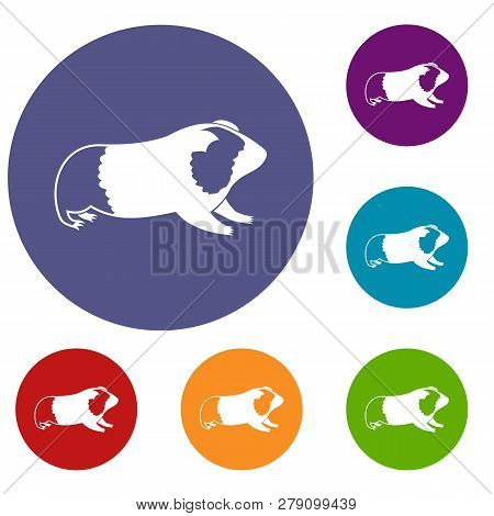 Hamster Icons Set In Flat Circle Reb, Blue And Green Color For Web