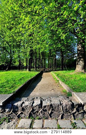 Kant Island, Formerly Knaiphof Island, On A Sunny Summer Day. Favorite Place Of Rest Of Townspeople.