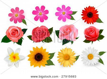 Stor samling af smukke farverige blomster.