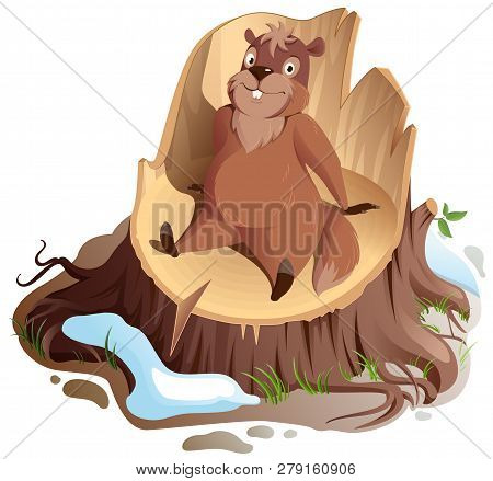 Brown Funny Woodchuck Sitting On Stump. Groundhog Day Greeting Card
