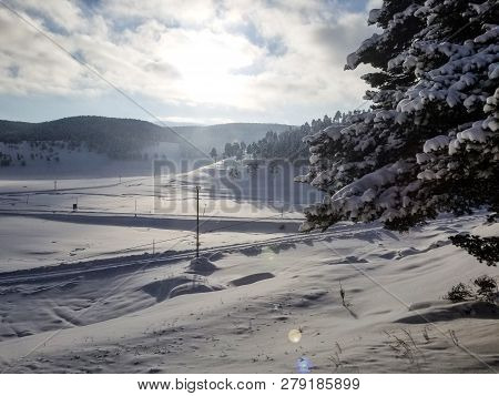 Winter Kars Turkey Dogu Express Train Tren Snow Tree New Year