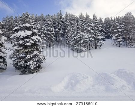 Winter Kars Turkey Dogu Express Train Tren Snow Tree New Year