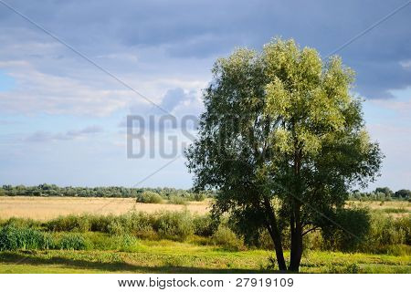 Paesaggio estivo vicino Stolin