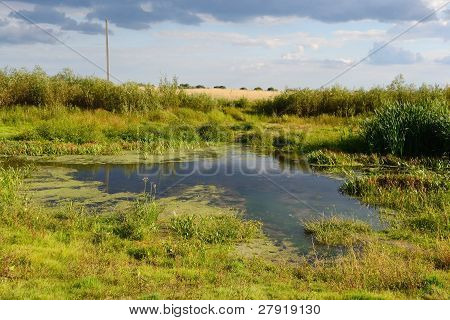 Paesaggio estivo vicino Stolin