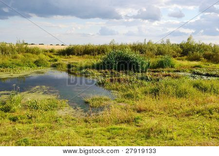 Paesaggio estivo vicino Stolin