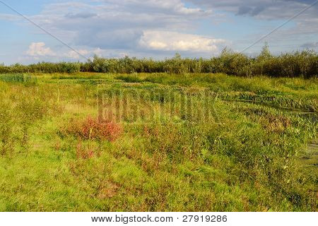 Paesaggio estivo vicino Stolin