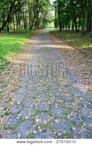Paesaggio di estate: parco in Stolin