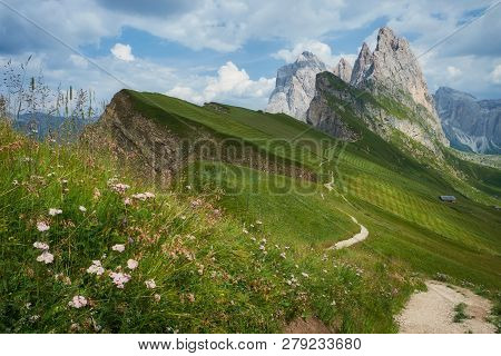 Seceda Peak With Some Flowers In The Foreground, In Ortisei, South Tyrol, Dolomites, Italy, Europe