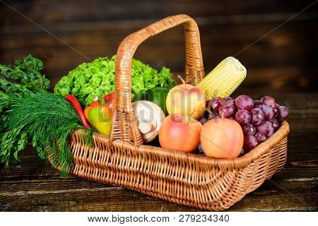 Excellent Quality Vegetables. Buy Fresh Homegrown Vegetables. Grocery Shop Concept. Just From Garden