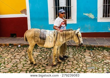 Trinidad, Cuba - 2019.cuban Old Man And Donkey On The Streets Of Trinidad.