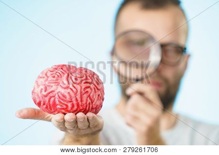 Man Looking At Human Brain