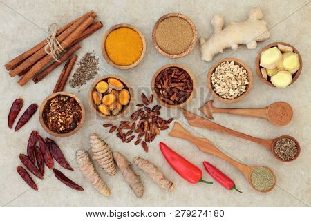 Fat busting spices for losing weight concept with fresh and dried turmeric, ginger, cumin, chilli, cinnamon and gymnema sylvestre used to suppress appetite, on natural hemp paper background.