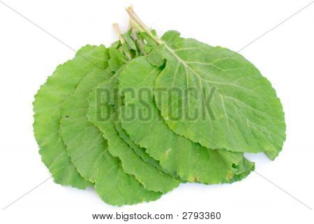 Collard yeşillik