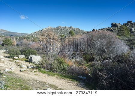 Views Of The River Navacerrada In Guadarrama Mountains (madrid, Spain) Near The La Maliciosa Reservo