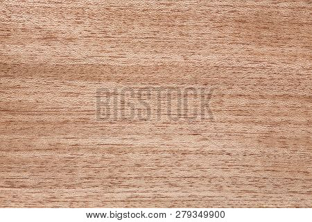 Delicate Venner Background In Adorable Beige Tone.