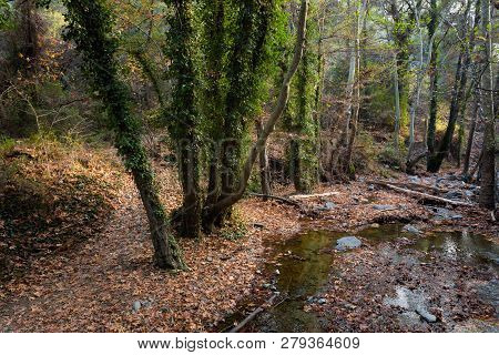 Hiking Trail Millomeris Waterfall Cyprus