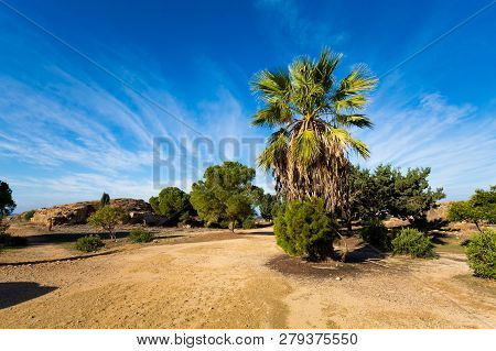 Tombs Of The King Paphos