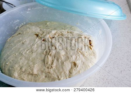 Leavened Dough, Homemade Leavened Dough In The Bowl,